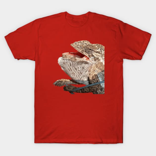 Chameleon With Open Mouth Nerdy Reptile Vector Art T-Shirt by taiche